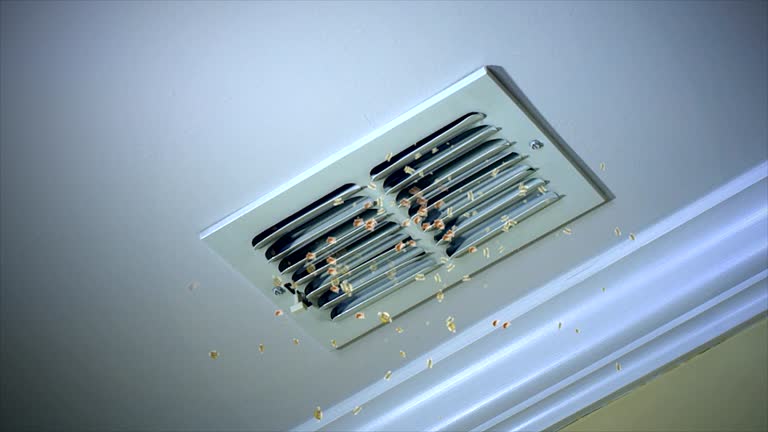 Best Ventilation Cleaning Services  in Central City, IA
